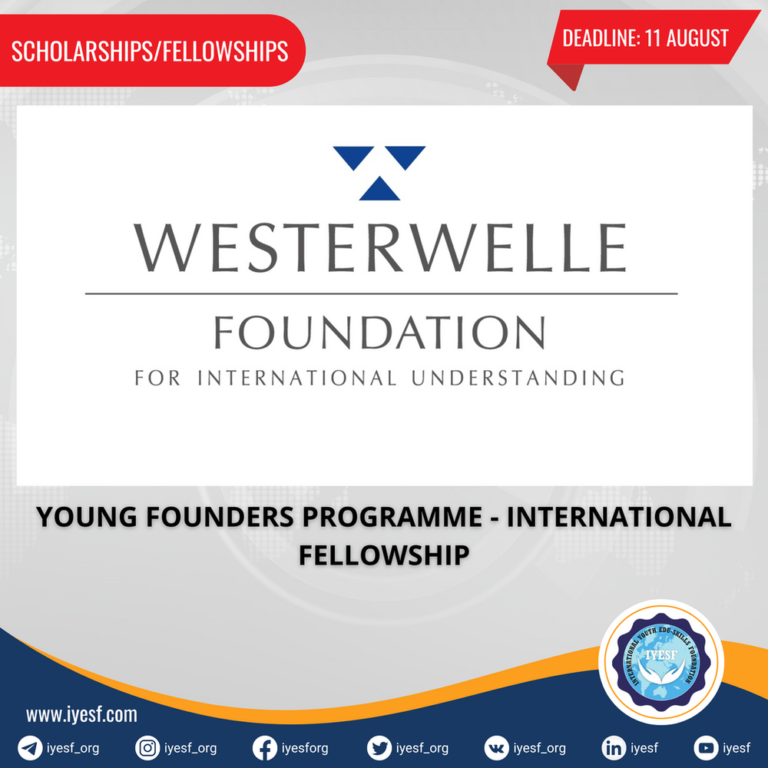 apply-for-the-westerwelle-foundation’s-international-fellowship-“young-founders-programme”